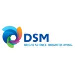 dsm-logo
