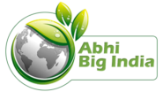 Abhi Big India Pvt. Ltd